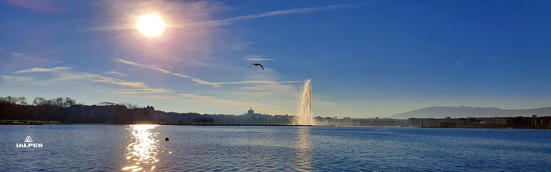 Jet d'eau de Genève de nuit