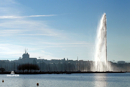 Panorama sur la rade et le jet d'eau.