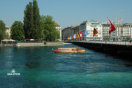 Mouettes Genevoises traversant le pont du Mont-Blanc.