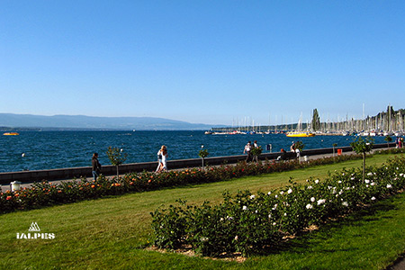 Lac Léman vue Genève