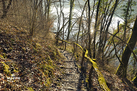 Avully, chemin bord du Rhône 