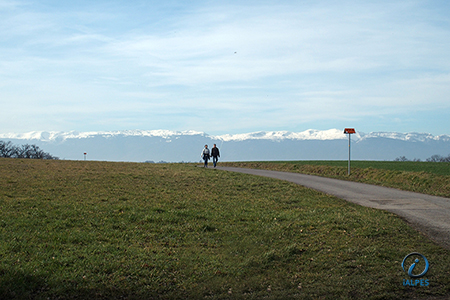 Balade canton de Genève