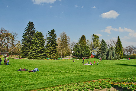 Jardin botanique de Genève